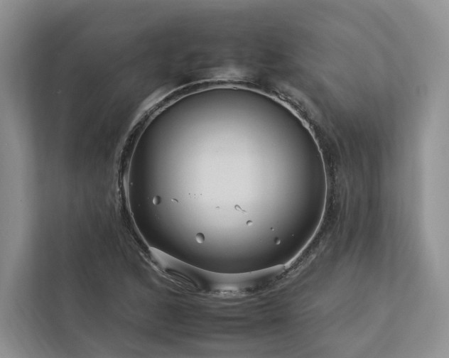 X0000112931168200908241254