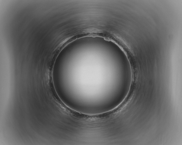 X0000112931169200908241254