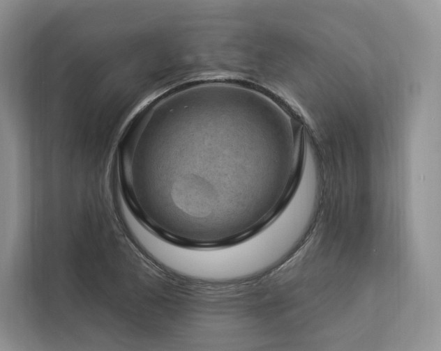 X0000112931173200908241254