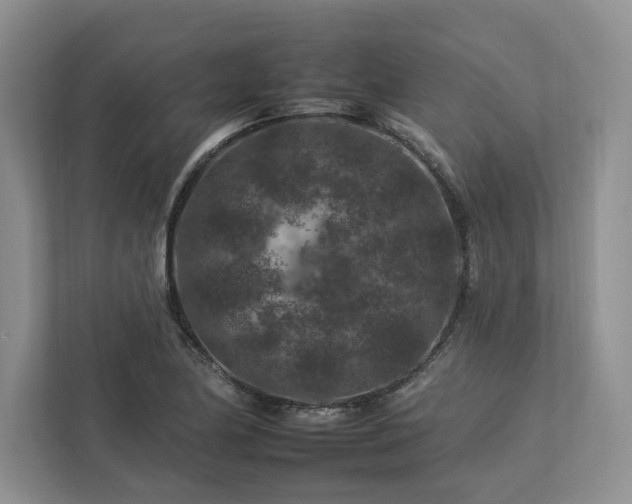 X0000112931174200908241254