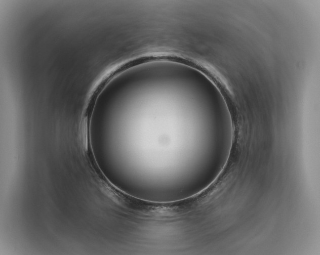 X0000112931175200908241254