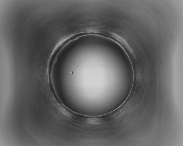 X0000112931176200908241254