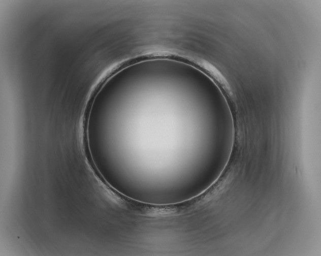 X0000112931183200908241254