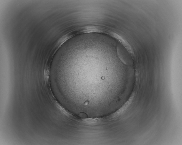 X0000112931185200908241254