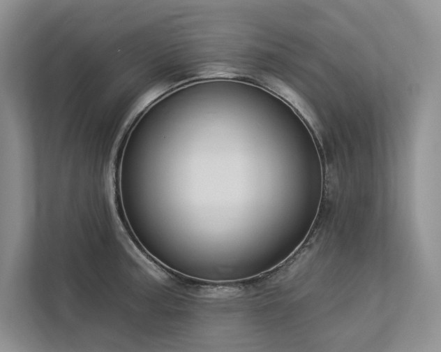 X0000112931187200908241254