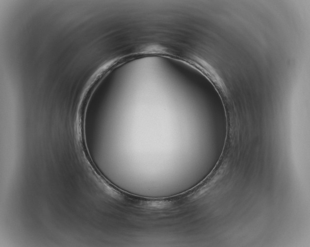 X0000112931188200908241254