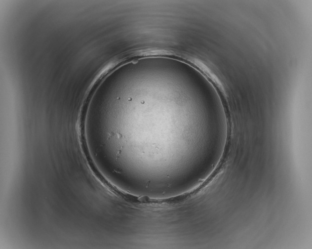 X0000112931189200908241254