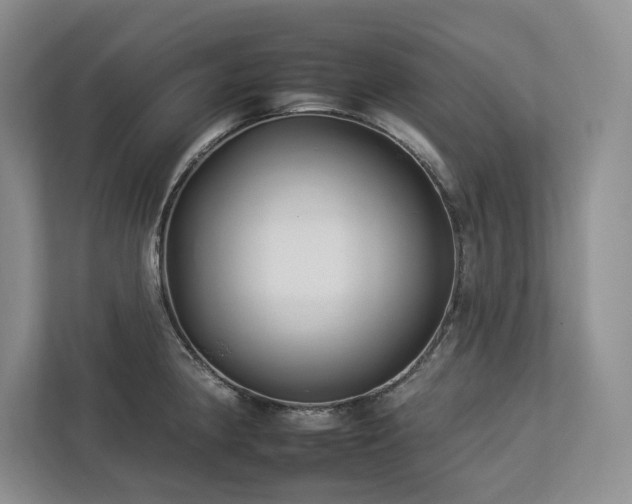 X0000112931190200908241254