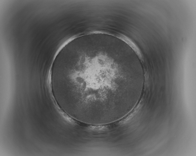 X0000112931198200908241254