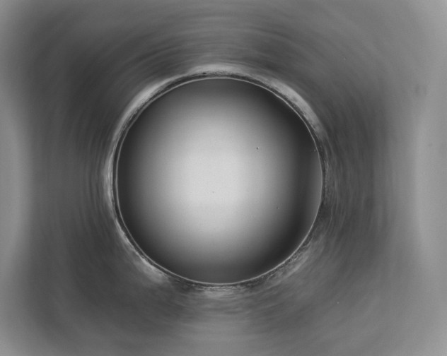 X0000112931199200908241254