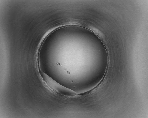 X0000112931200200908241254