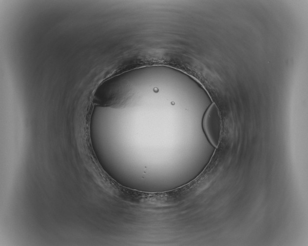 X0000112931201200908241253