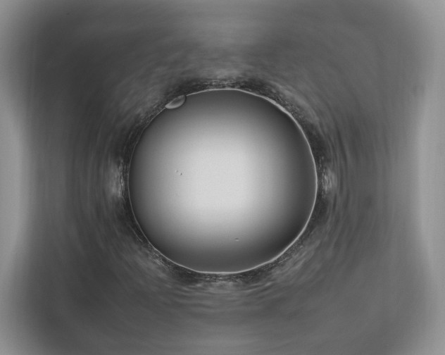 X0000112931204200908241253