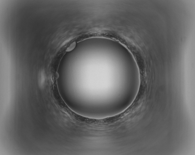 X0000112931206200908241253