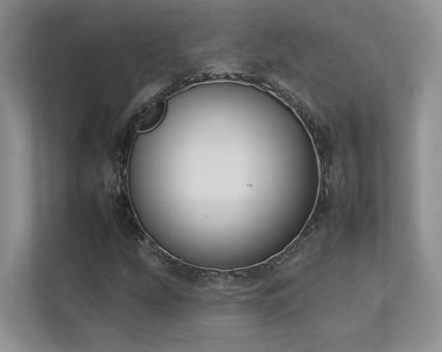 X0000112931207200908241253