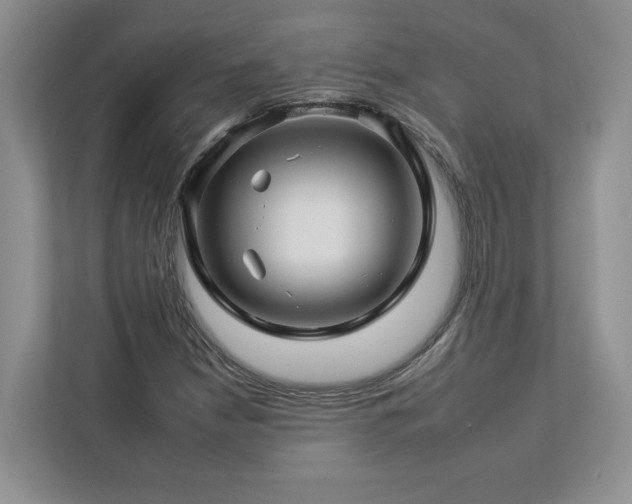 X0000112931210200908241253