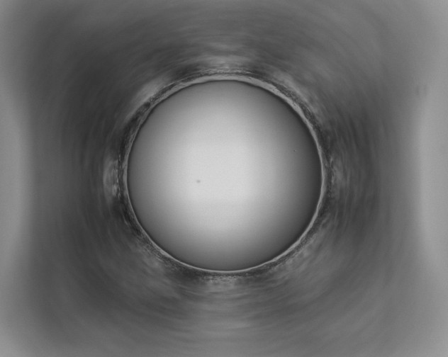 X0000112931211200908241253