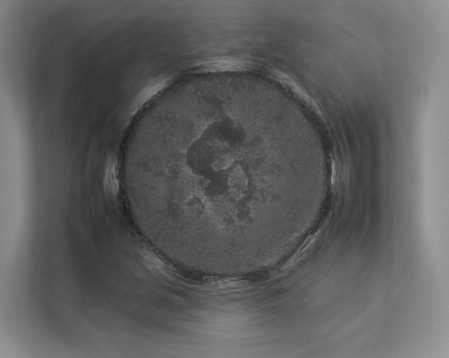 X0000112931213200908241253
