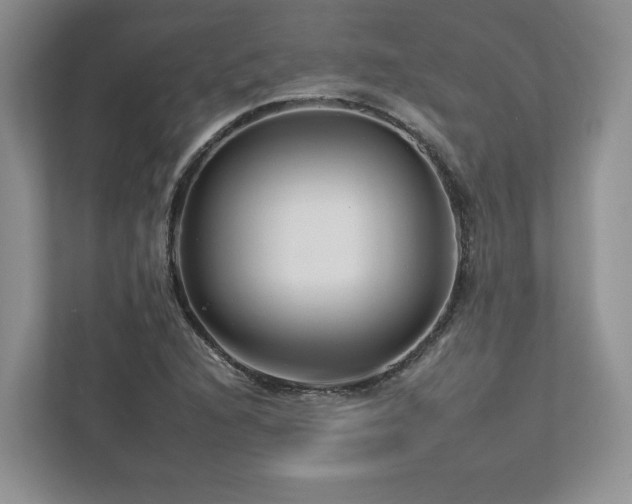 X0000112931216200908241253