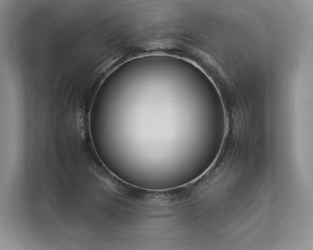X0000112931217200908241253