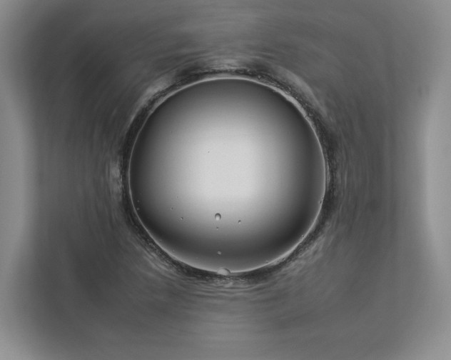 X0000112931218200908241253