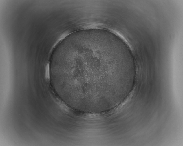 X0000112931219200908241253