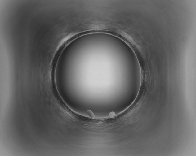 X0000112931222200908241254