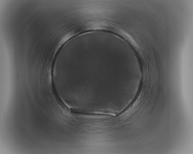 X0000112931226200908241254