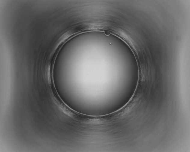 X0000112931227200908241254