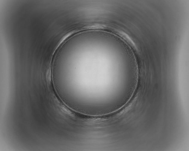 X0000112931228200908241254