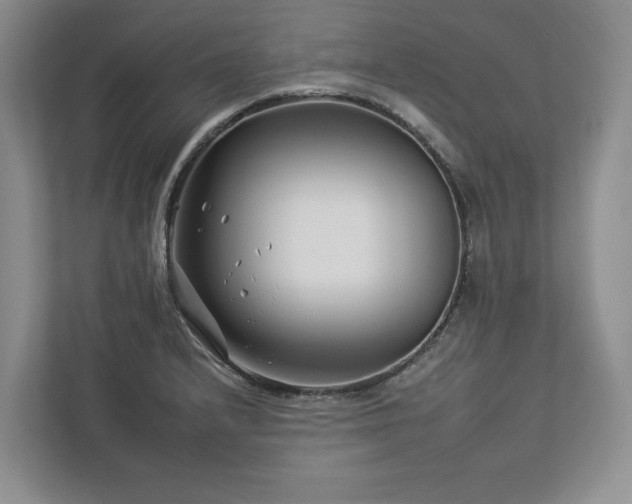 X0000112931232200908241254
