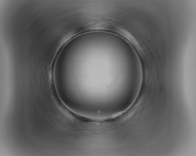 X0000112931234200908241254