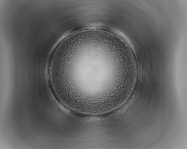 X0000112931235200908241254