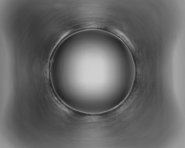 X0000112931236200908241254