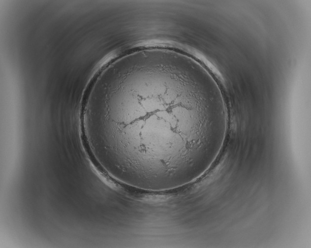 X0000112931237200908241254
