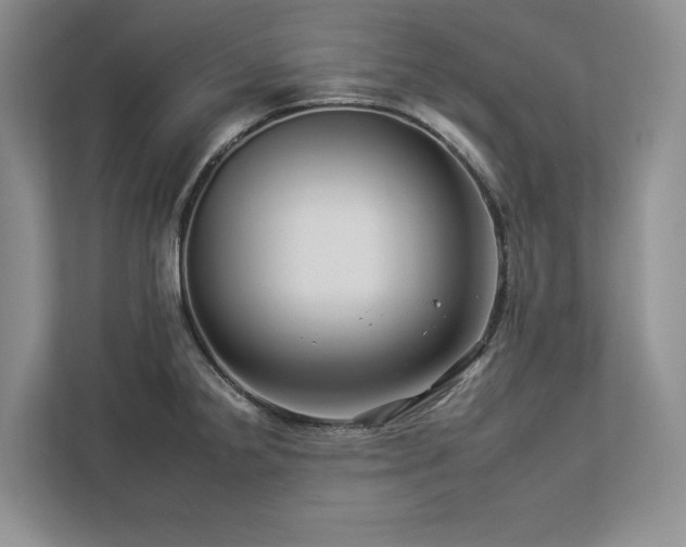X0000112931238200908241254