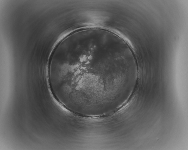 X0000112931239200908241254