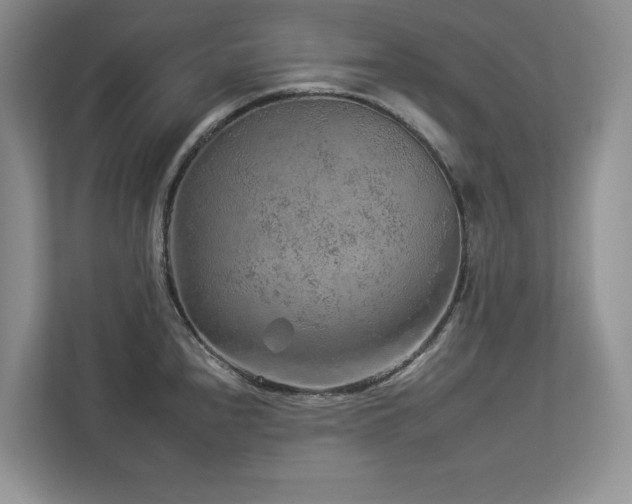 X0000112931240200908241254