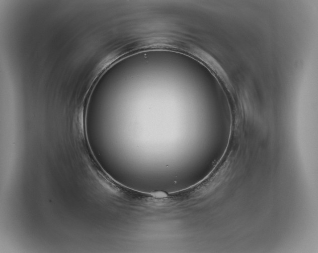 X0000112931242200908241254