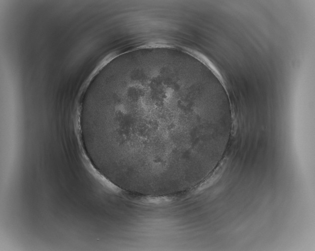 X0000112931243200908241254