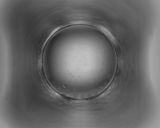 X0000112931244200908241254