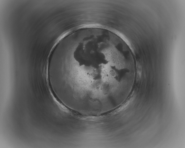 X0000112931245200908241254