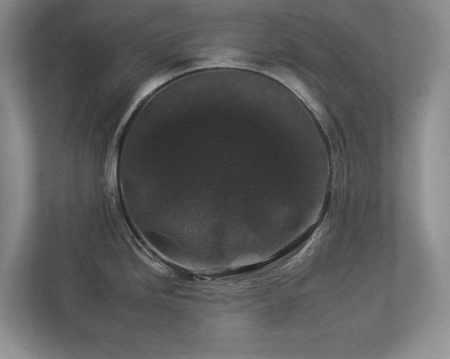 X0000112931246200908241254