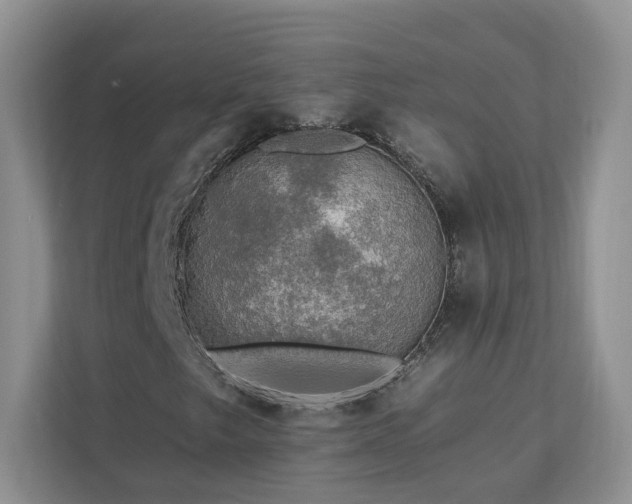 X0000112931249200908241253