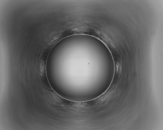 X0000112931251200908241253