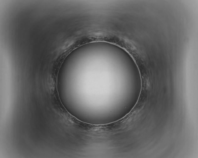 X0000112931253200908241253