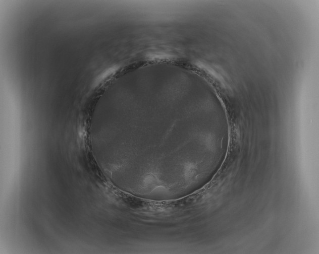 X0000112931254200908241253