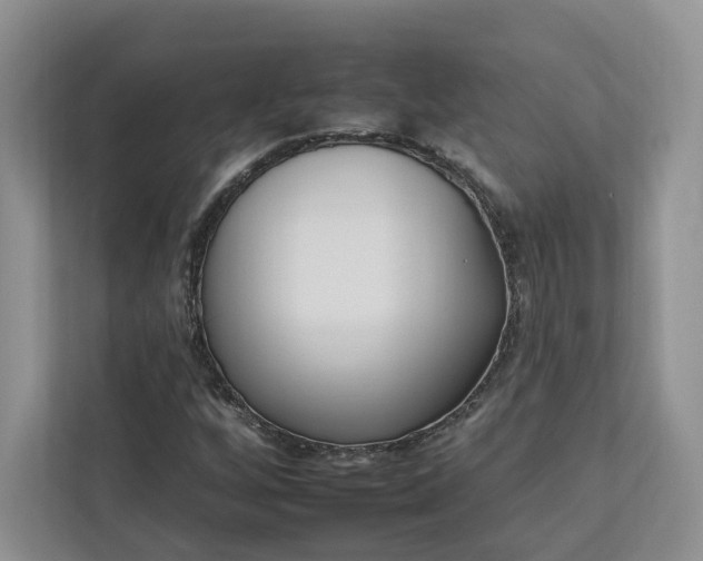 X0000112931256200908241253