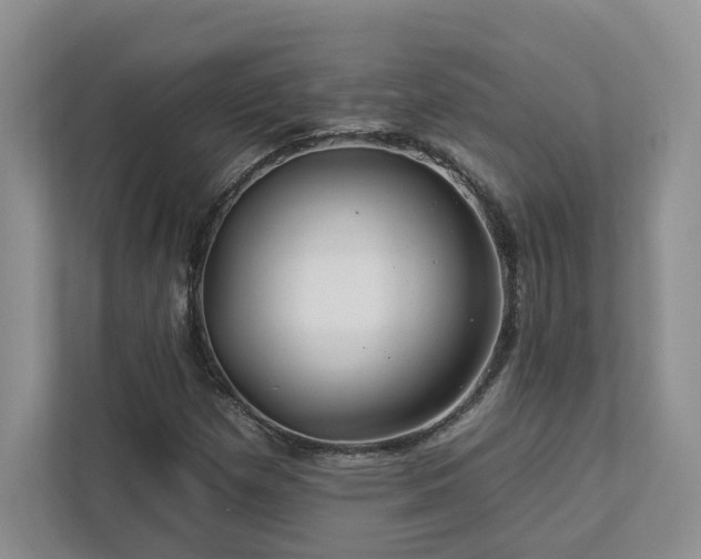 X0000112931257200908241253