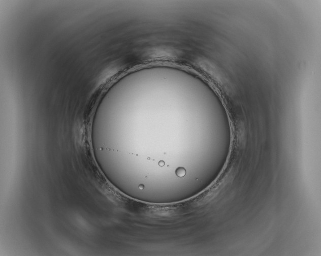 X0000112931258200908241253